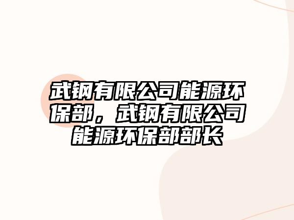 武鋼有限公司能源環(huán)保部，武鋼有限公司能源環(huán)保部部長