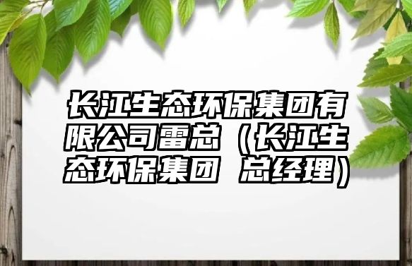 長江生態(tài)環(huán)保集團(tuán)有限公司雷總（長江生態(tài)環(huán)保集團(tuán) 總經(jīng)理）
