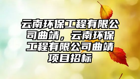云南環(huán)保工程有限公司曲靖，云南環(huán)保工程有限公司曲靖項(xiàng)目招標(biāo)