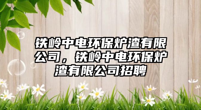 鐵嶺中電環(huán)保爐渣有限公司，鐵嶺中電環(huán)保爐渣有限公司招聘