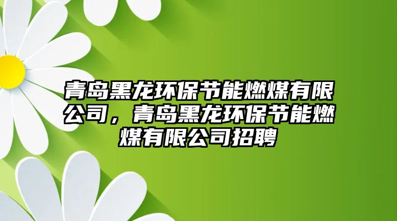青島黑龍環(huán)保節(jié)能燃煤有限公司，青島黑龍環(huán)保節(jié)能燃煤有限公司招聘