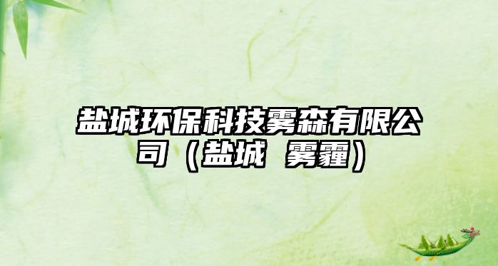 鹽城環(huán)?？萍检F森有限公司（鹽城 霧霾）