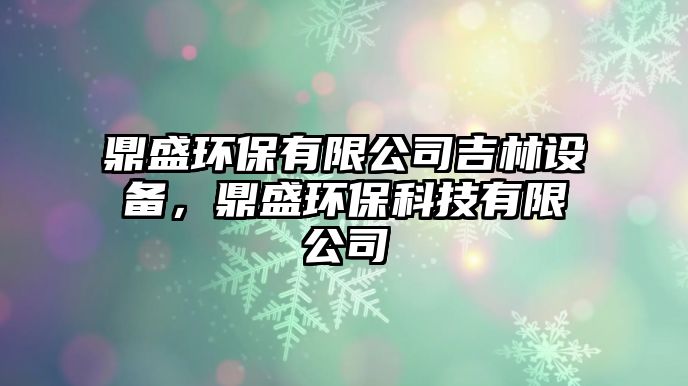 鼎盛環(huán)保有限公司吉林設(shè)備，鼎盛環(huán)?？萍加邢薰?/> 
									</a>
									<h4 class=