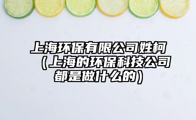 上海環(huán)保有限公司姓柯（上海的環(huán)?？萍脊径际亲鍪裁吹模?/> 
									</a>
									<h4 class=