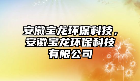 安徽寶龍環(huán)?？萍?，安徽寶龍環(huán)保科技有限公司