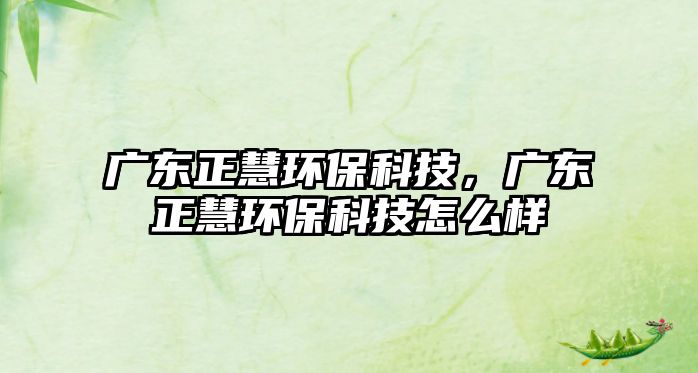 廣東正慧環(huán)?？萍?，廣東正慧環(huán)?？萍荚趺礃?/> 
									</a>
									<h4 class=