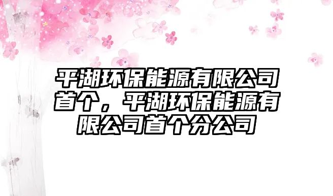 平湖環(huán)保能源有限公司首個(gè)，平湖環(huán)保能源有限公司首個(gè)分公司