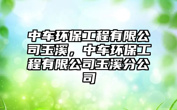 中車環(huán)保工程有限公司玉溪，中車環(huán)保工程有限公司玉溪分公司