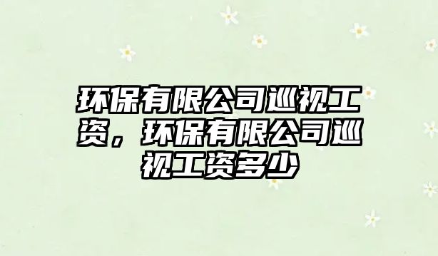 環(huán)保有限公司巡視工資，環(huán)保有限公司巡視工資多少