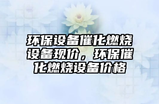 環(huán)保設(shè)備催化燃燒設(shè)備現(xiàn)價，環(huán)保催化燃燒設(shè)備價格