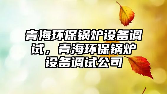 青海環(huán)保鍋爐設(shè)備調(diào)試，青海環(huán)保鍋爐設(shè)備調(diào)試公司