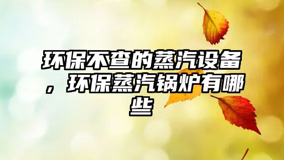環(huán)保不查的蒸汽設(shè)備，環(huán)保蒸汽鍋爐有哪些