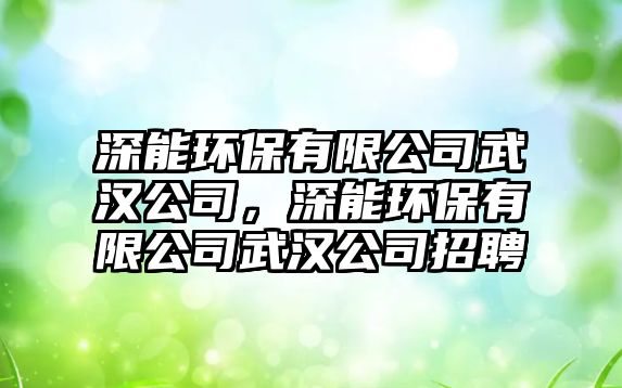深能環(huán)保有限公司武漢公司，深能環(huán)保有限公司武漢公司招聘