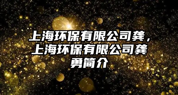 上海環(huán)保有限公司龔，上海環(huán)保有限公司龔勇簡介