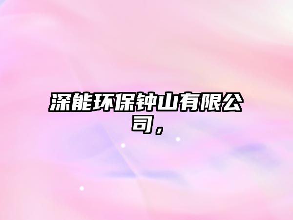 深能環(huán)保鐘山有限公司，