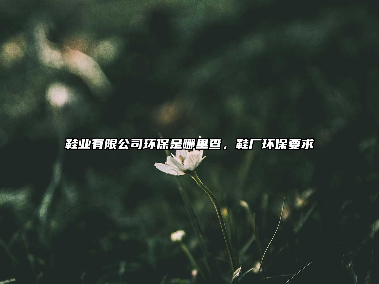 鞋業(yè)有限公司環(huán)保是哪里查，鞋廠環(huán)保要求