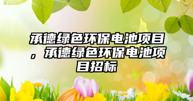 承德綠色環(huán)保電池項目，承德綠色環(huán)保電池項目招標