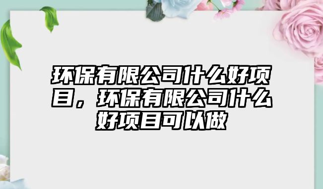 環(huán)保有限公司什么好項目，環(huán)保有限公司什么好項目可以做