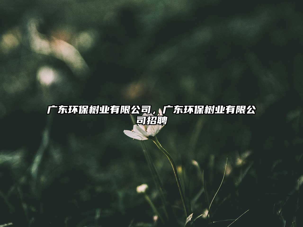 廣東環(huán)保樹業(yè)有限公司，廣東環(huán)保樹業(yè)有限公司招聘