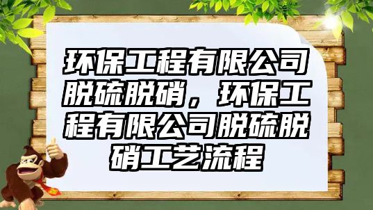 環(huán)保工程有限公司脫硫脫硝，環(huán)保工程有限公司脫硫脫硝工藝流程