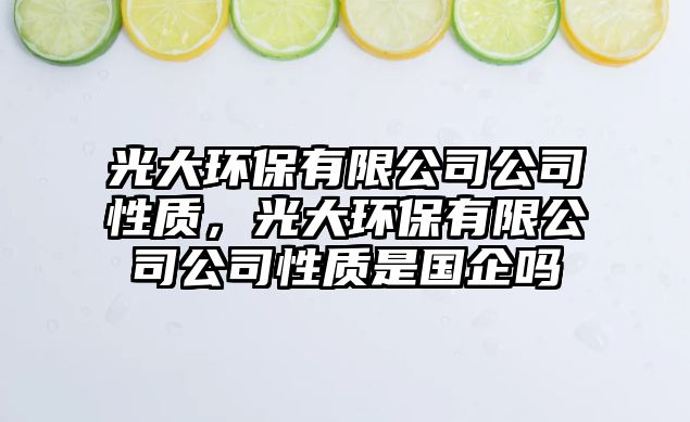 光大環(huán)保有限公司公司性質(zhì)，光大環(huán)保有限公司公司性質(zhì)是國企嗎
