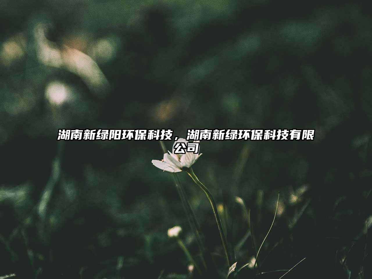 湖南新綠陽環(huán)?？萍?，湖南新綠環(huán)保科技有限公司