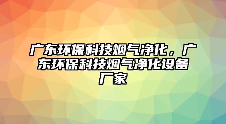 廣東環(huán)?？萍紵煔鈨艋?，廣東環(huán)?？萍紵煔鈨艋O(shè)備廠家