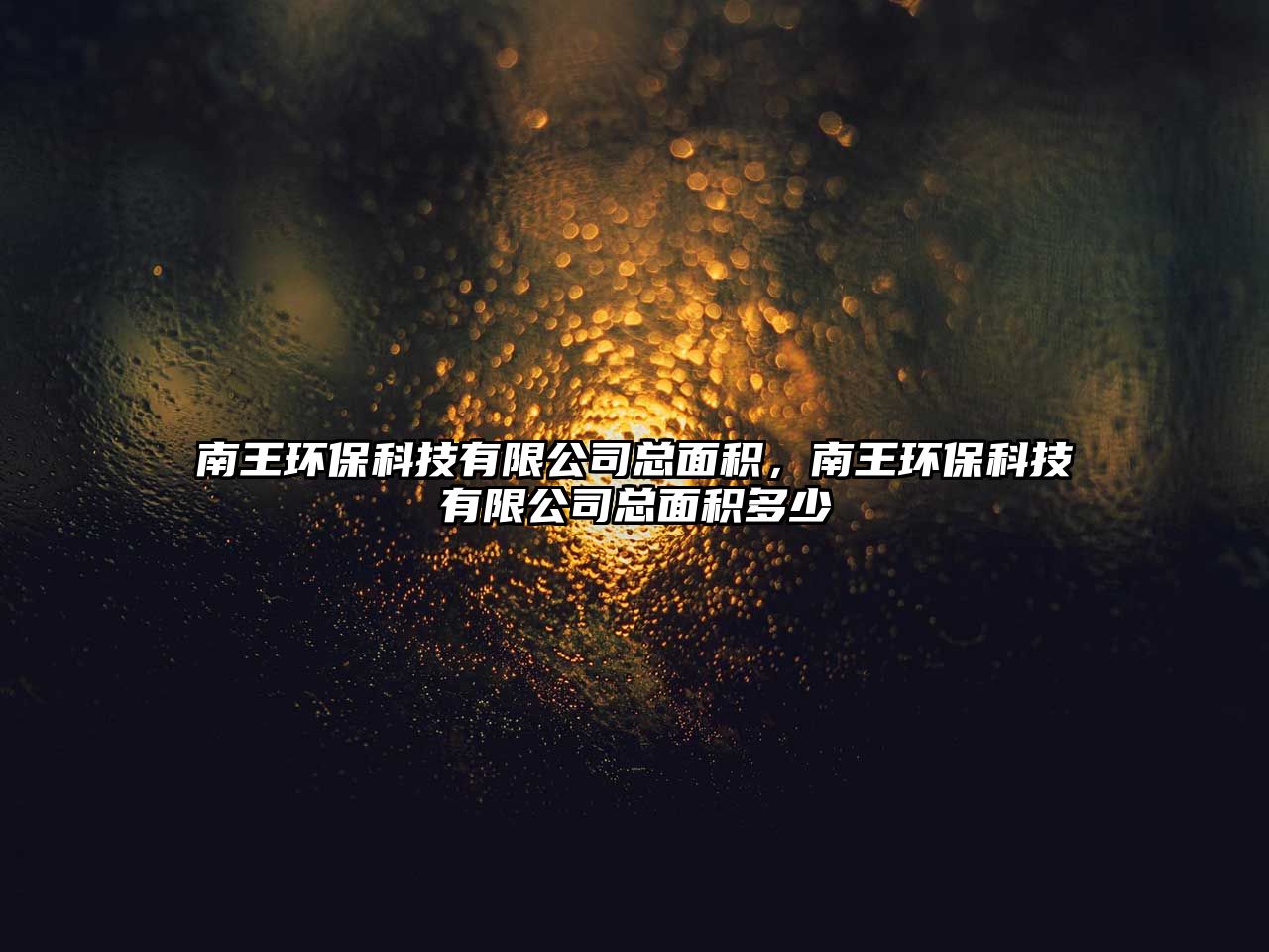 南王環(huán)?？萍加邢薰究偯娣e，南王環(huán)?？萍加邢薰究偯娣e多少
