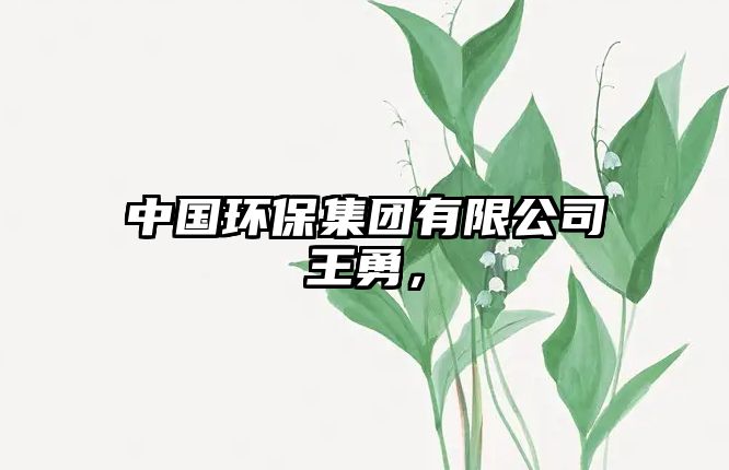 中國(guó)環(huán)保集團(tuán)有限公司王勇，