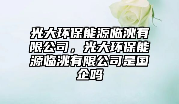 光大環(huán)保能源臨洮有限公司，光大環(huán)保能源臨洮有限公司是國企嗎