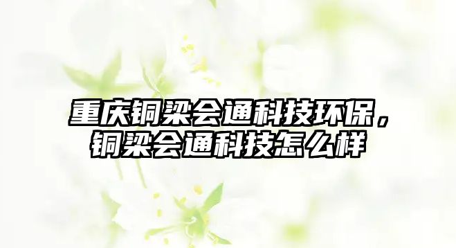 重慶銅梁會通科技環(huán)保，銅梁會通科技怎么樣