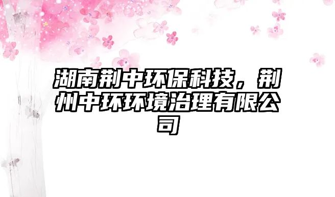 湖南荊中環(huán)?？萍?，荊州中環(huán)環(huán)境治理有限公司