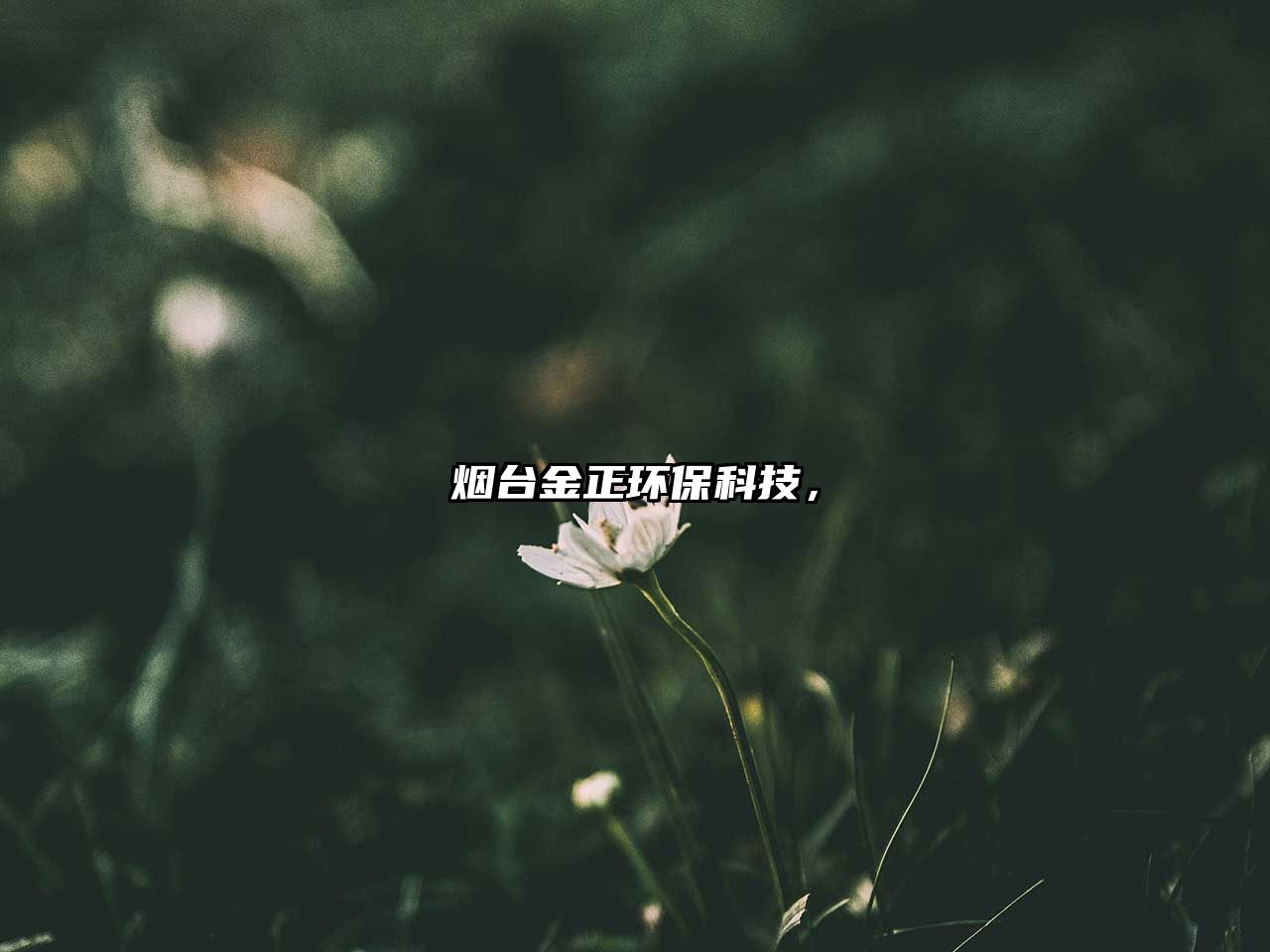 煙臺金正環(huán)保科技，
