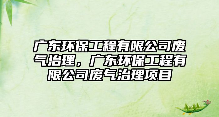 廣東環(huán)保工程有限公司廢氣治理，廣東環(huán)保工程有限公司廢氣治理項(xiàng)目