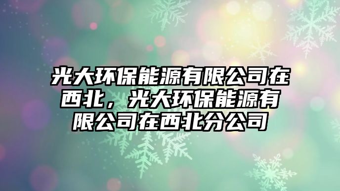 光大環(huán)保能源有限公司在西北，光大環(huán)保能源有限公司在西北分公司