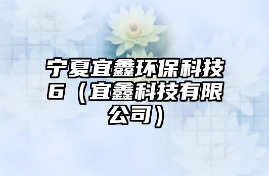 寧夏宜鑫環(huán)?？萍?（宜鑫科技有限公司）
