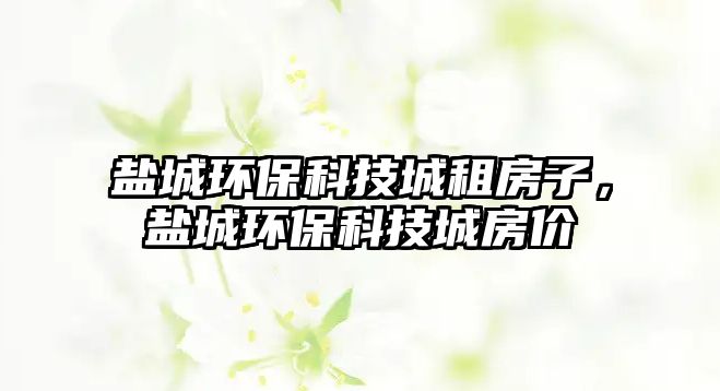 鹽城環(huán)?？萍汲亲夥孔樱}城環(huán)?？萍汲欠績r(jià)