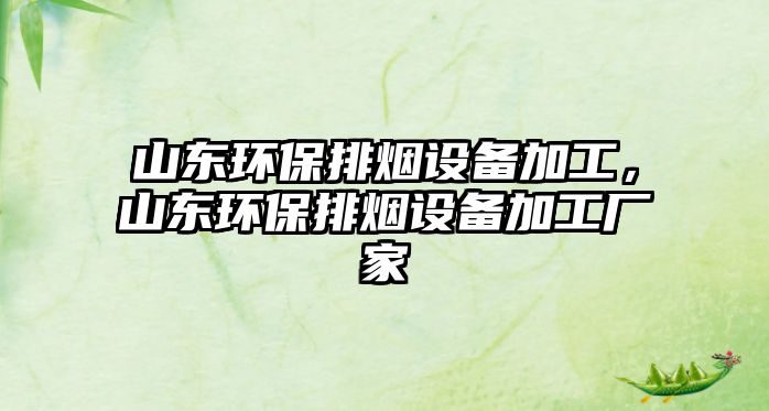 山東環(huán)保排煙設(shè)備加工，山東環(huán)保排煙設(shè)備加工廠家