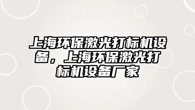 上海環(huán)保激光打標(biāo)機(jī)設(shè)備，上海環(huán)保激光打標(biāo)機(jī)設(shè)備廠家