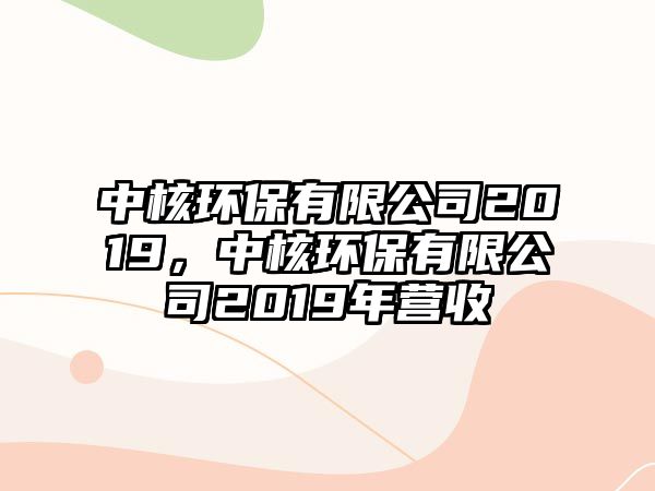 中核環(huán)保有限公司2019，中核環(huán)保有限公司2019年?duì)I收