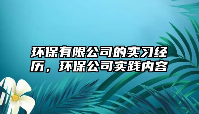 環(huán)保有限公司的實習(xí)經(jīng)歷，環(huán)保公司實踐內(nèi)容