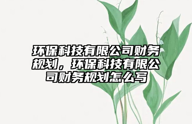 環(huán)保科技有限公司財務(wù)規(guī)劃，環(huán)保科技有限公司財務(wù)規(guī)劃怎么寫
