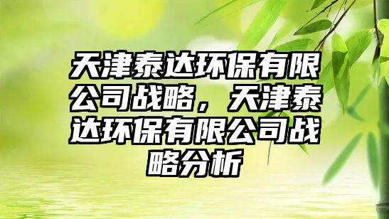 天津泰達(dá)環(huán)保有限公司戰(zhàn)略，天津泰達(dá)環(huán)保有限公司戰(zhàn)略分析