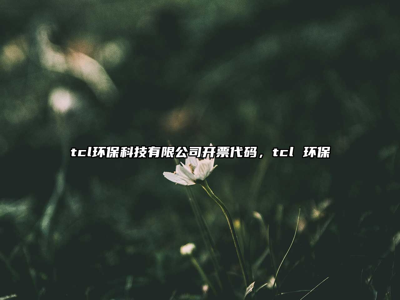 tcl環(huán)保科技有限公司開票代碼，tcl 環(huán)保