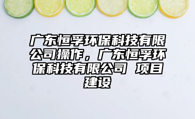 廣東恒孚環(huán)?？萍加邢薰静僮?，廣東恒孚環(huán)?？萍加邢薰?項(xiàng)目建設(shè)