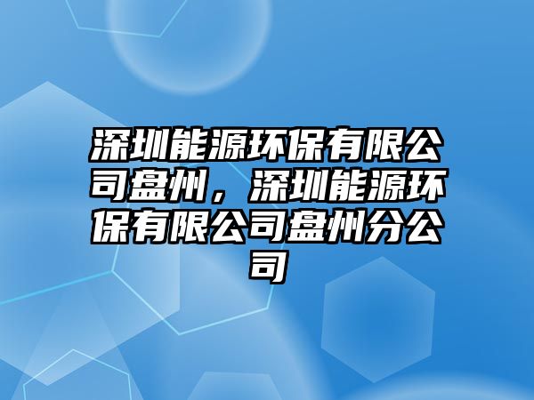 深圳能源環(huán)保有限公司盤州，深圳能源環(huán)保有限公司盤州分公司