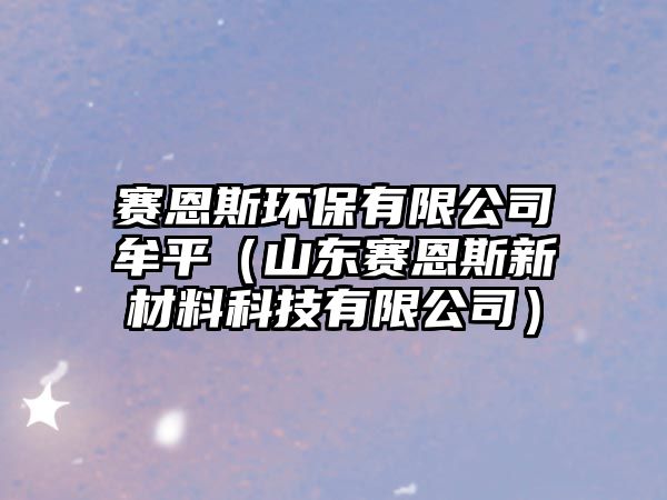 賽恩斯環(huán)保有限公司牟平（山東賽恩斯新材料科技有限公司）