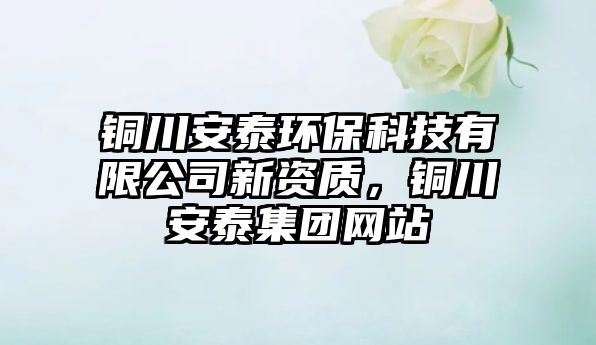 銅川安泰環(huán)?？萍加邢薰拘沦Y質(zhì)，銅川安泰集團(tuán)網(wǎng)站