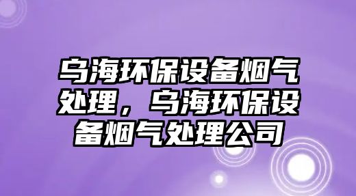 烏海環(huán)保設備煙氣處理，烏海環(huán)保設備煙氣處理公司