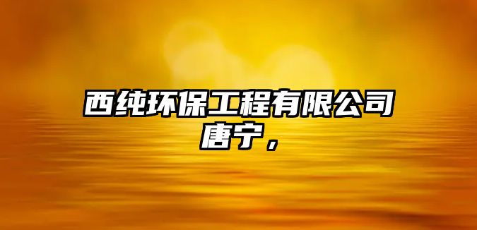 西純環(huán)保工程有限公司唐寧，